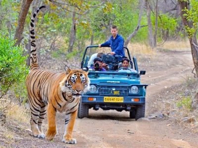 2ef73cf5-a3fc-4d48-aeae-657d83104f1f