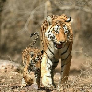 WhatsApp Image 2025-08-20 at 3.46.33 PM